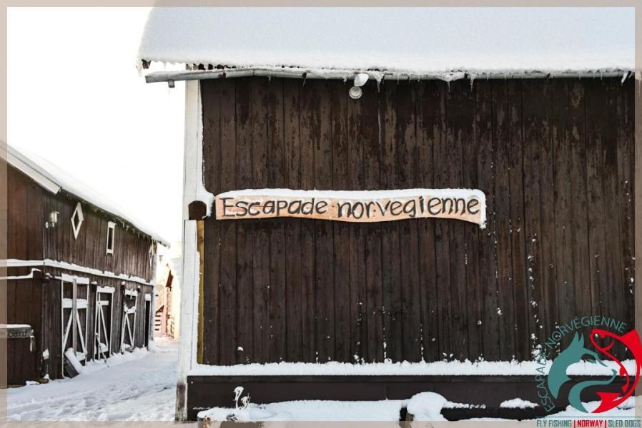 Escapade Norvegienne Apartment Tolga Exterior foto