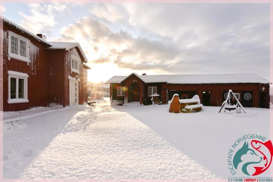 Escapade Norvegienne Apartment Tolga Exterior foto